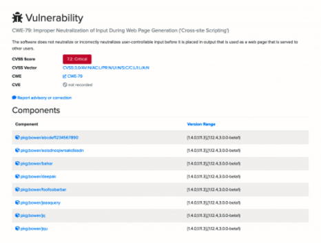OSSIndex-Vulnerability-Version-Specification