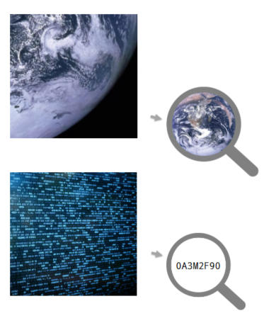 A photo and it's thumbnail next to an image of lots of data next to a small text digest